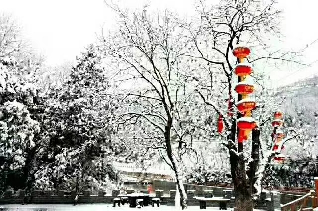 銀色高貴的裙裾，徐徐轉(zhuǎn)出優(yōu)美的芭蕾舞姿，涼爽和舒適瞬間溫柔擁你入懷！-瑞泰風(fēng)工業(yè)大風(fēng)扇