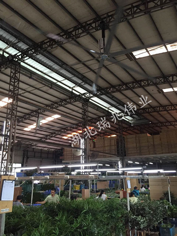 大型工業(yè)吊扇，效果好且省錢