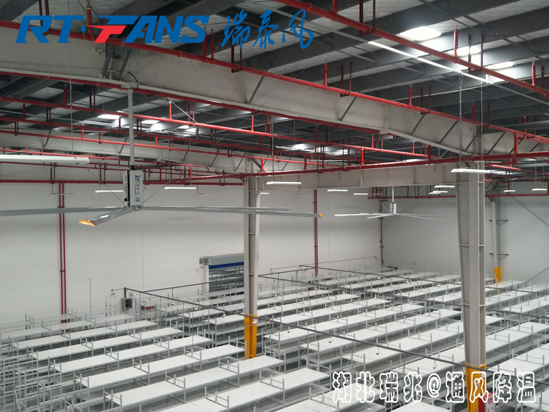 工業(yè)大風扇具體的通風降溫效果怎么樣，有什么作用呢